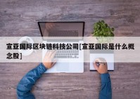 宣亚国际区块链科技公司[宣亚国际是什么概念股]