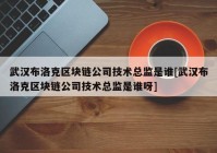 武汉布洛克区块链公司技术总监是谁[武汉布洛克区块链公司技术总监是谁呀]