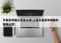 万象区块链公司怎么样[上海万象区块链股份有限公司]