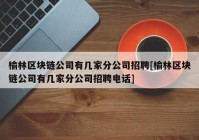 榆林区块链公司有几家分公司招聘[榆林区块链公司有几家分公司招聘电话]